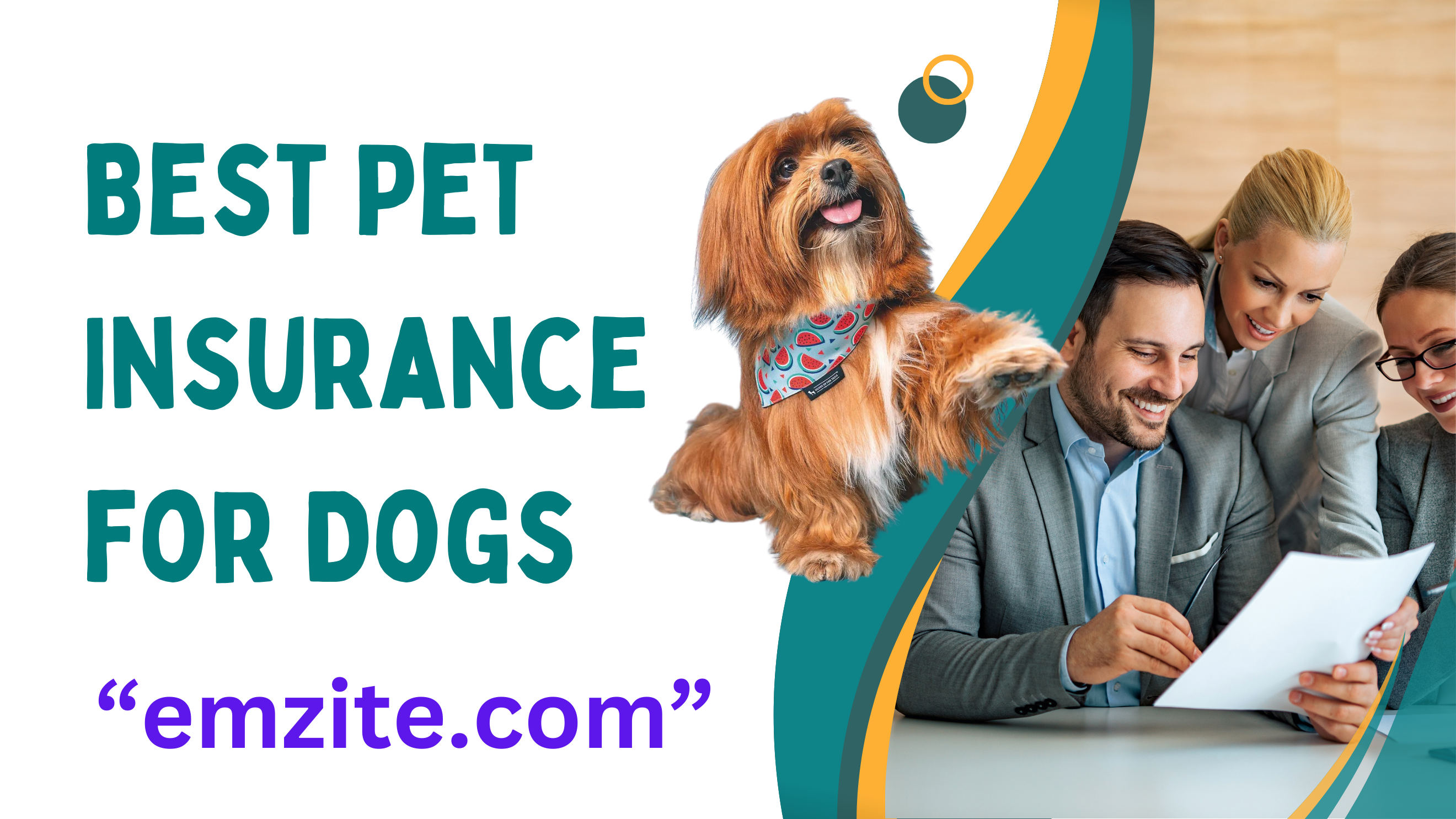 Best Pet Insurance for Dogs